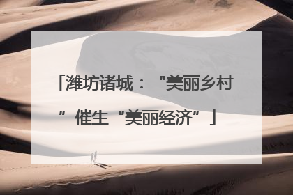 潍坊诸城：“美丽乡村”催生“美丽经济”