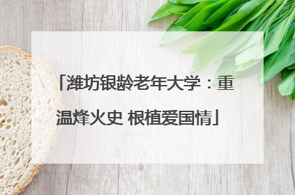 潍坊银龄老年大学：重温烽火史 根植爱国情