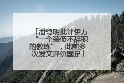 潘粤明批评伊万“一个装傻不辞职的教练”，此前多次发文评价国足