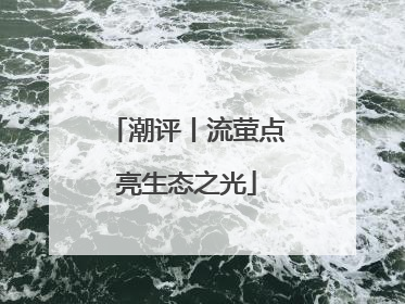 潮评丨流萤点亮生态之光