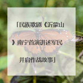 民族歌剧《沂蒙山》南宁首演讲述军民并肩作战故事