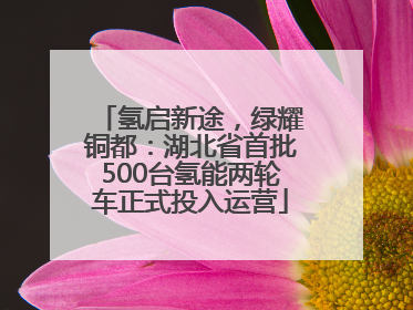 氢启新途，绿耀铜都：湖北省首批500台氢能两轮车正式投入运营