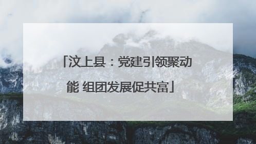 汶上县：党建引领聚动能 组团发展促共富