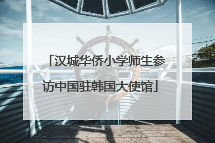 汉城华侨小学师生参访中国驻韩国大使馆
