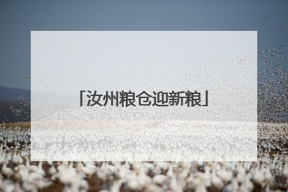 汝州粮仓迎新粮