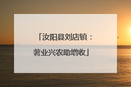 汝阳县刘店镇：薯业兴农助增收