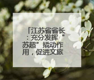 江苏省省长：充分发挥“苏超”撬动作用，促进文旅体商融合