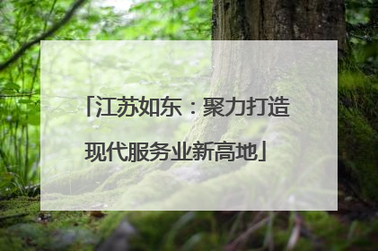 江苏如东:聚力打造现代服务业新高地