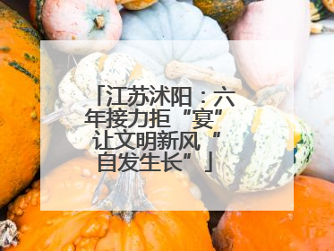 江苏沭阳：六年接力拒“宴” 让文明新风“自发生长”