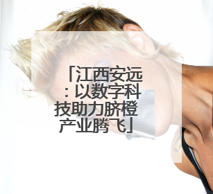 江西安远：以数字科技助力脐橙产业腾飞