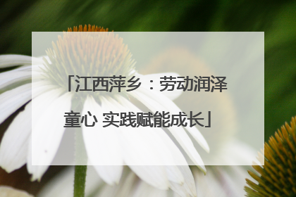 江西萍乡：劳动润泽童心 实践赋能成长