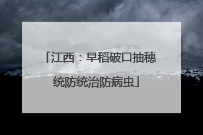 江西：早稻破口抽穗 统防统治防病虫