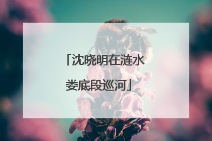 沈晓明在涟水娄底段巡河