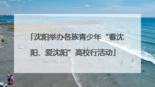 沈阳举办各族青少年“看沈阳、爱沈阳”高校行活动