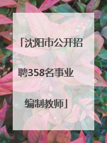 沈阳市公开招聘358名事业编制教师