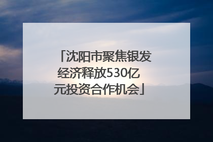 沈阳市聚焦银发经济释放530亿元投资合作机会