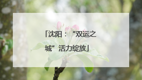 沈阳：“双运之城”活力绽放