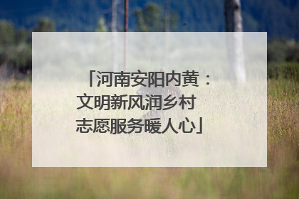 河南安阳内黄：文明新风润乡村 志愿服务暖人心