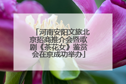 河南安阳文旅北京招商推介会暨歌剧《茶花女》鉴赏会在京成功举办