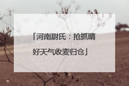 河南尉氏：抢抓晴好天气收麦归仓