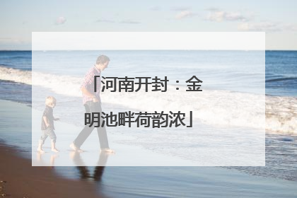河南开封：金明池畔荷韵浓