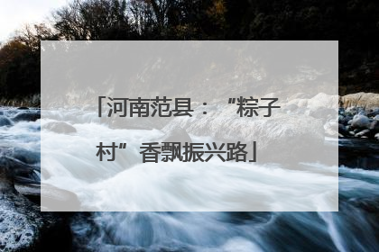 河南范县：“粽子村”香飘振兴路