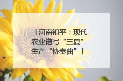 河南镇平：现代农业谱写“三夏”生产“协奏曲”