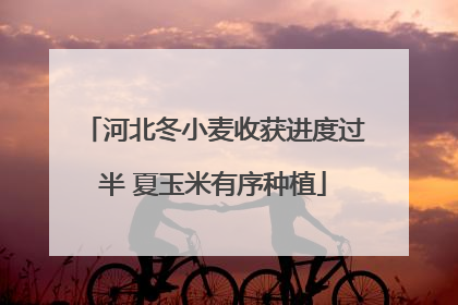 河北冬小麦收获进度过半 夏玉米有序种植