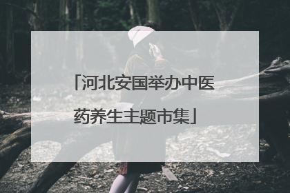 河北安国举办中医药养生主题市集