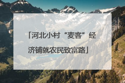 河北小村“麦客”经济铺就农民致富路