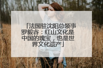 法国驻沈阳总领事罗毅睿：红山文化是中国的瑰宝，也是世界文化遗产