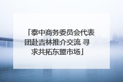 泰中商务委员会代表团赴吉林推介交流 寻求共拓东盟市场
