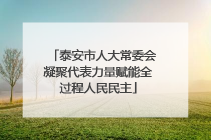 泰安市人大常委会凝聚代表力量赋能全过程人民民主