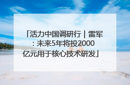活力中国调研行｜雷军：未来5年将投2000亿元用于核心技术研发