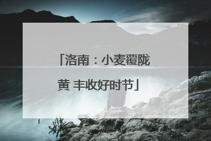 洛南：小麦覆陇黄 丰收好时节