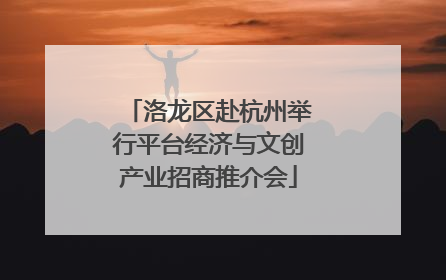 洛龙区赴杭州举行平台经济与文创产业招商推介会