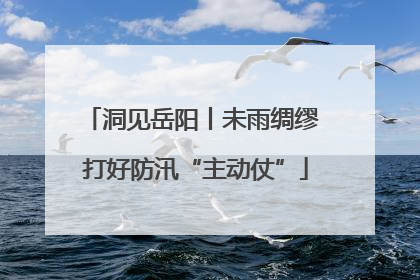 洞见岳阳丨未雨绸缪 打好防汛“主动仗”