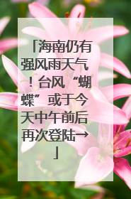 海南仍有强风雨天气！台风“蝴蝶”或于今天中午前后再次登陆→