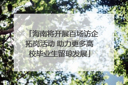 海南将开展百场访企拓岗活动 助力更多高校毕业生留琼发展