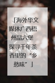 海外华文媒体广西梧州品六堡 探寻千年茶香里的“乡愁味”