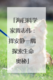 海归科学家黄志伟：择安静一隅 探索生命奥秘