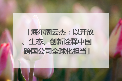 海尔周云杰：以开放、生态、创新诠释中国跨国公司全球化担当