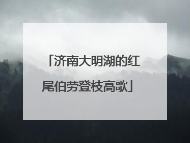 济南大明湖的红尾伯劳登枝高歌