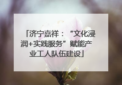 济宁嘉祥：“文化浸润+实践服务”赋能产业工人队伍建设