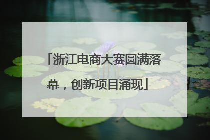 浙江电商大赛圆满落幕，创新项目涌现
