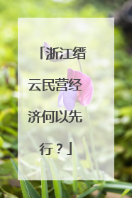 浙江缙云民营经济何以先行？