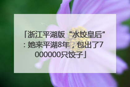 浙江平湖版“水饺皇后”：她来平湖8年，包出了7000000只饺子