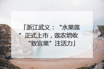 浙江武义：“水果莲”正式上市，莲农增收“致富果”注活力
