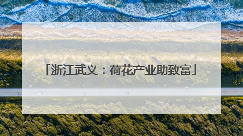 浙江武义：荷花产业助致富