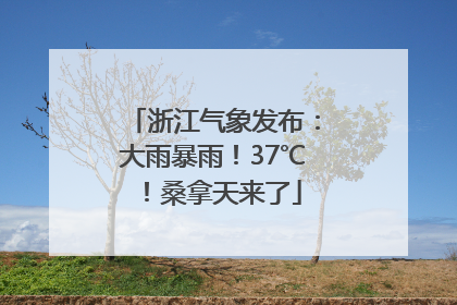 浙江气象发布：大雨暴雨！37℃！桑拿天来了